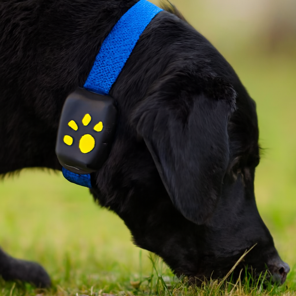 GPS Pet Tracker Collar for Dogs Cats Real Time Tracking Waterproof