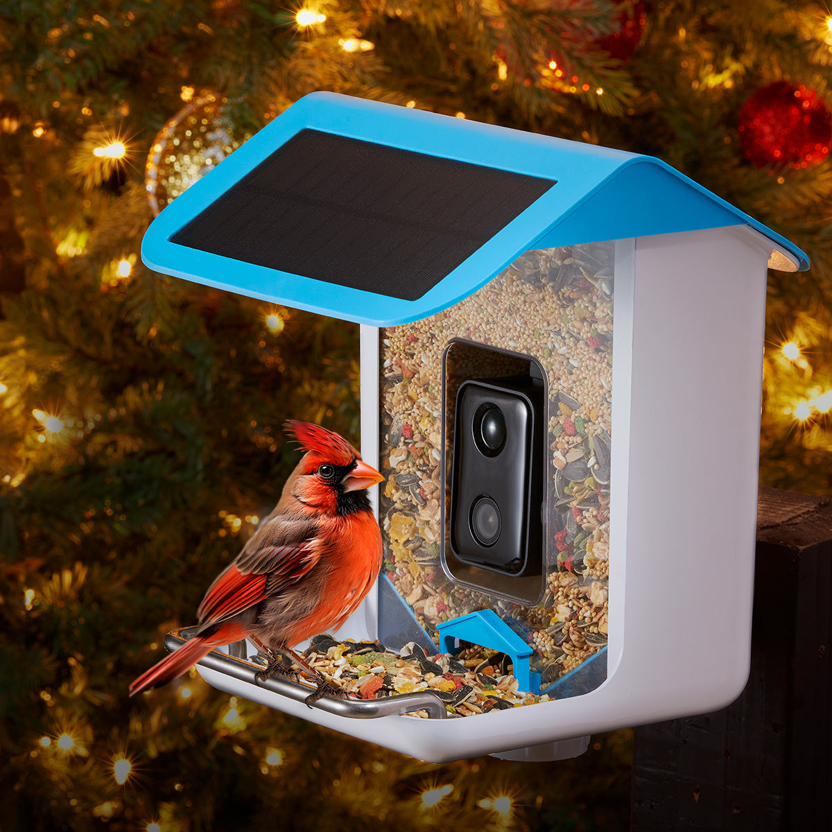 AI Bird Feeder Camera 1080p HD Video Capture Solar Powered Weatherproof 1