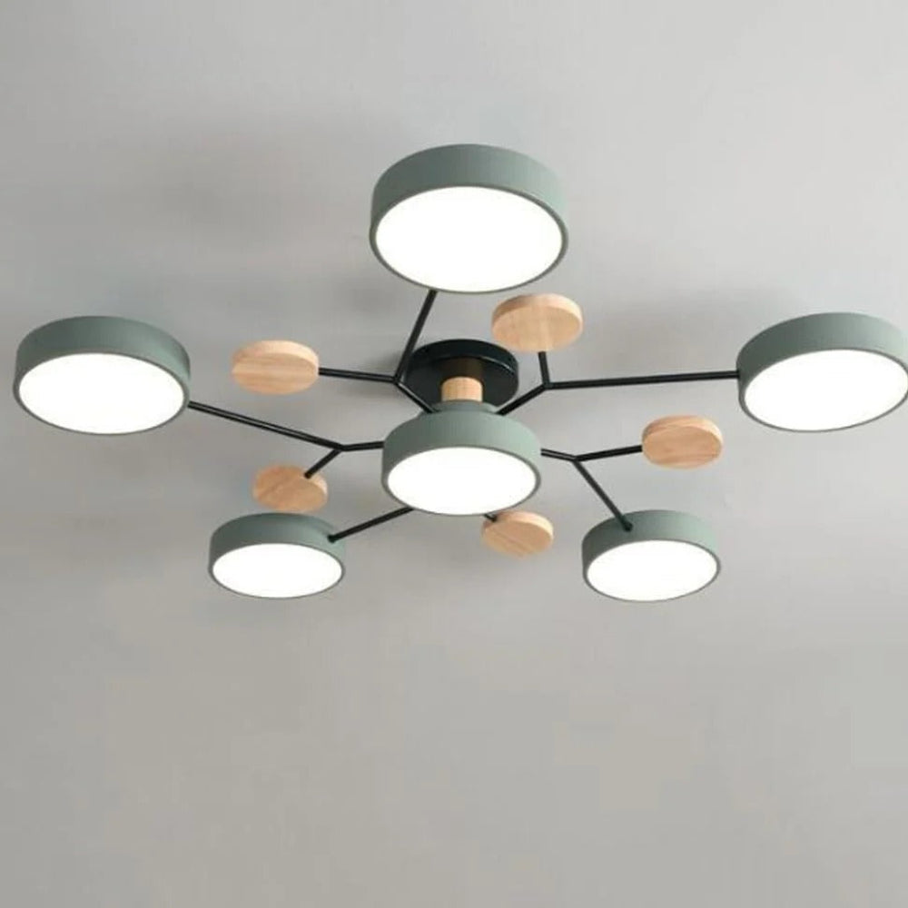 Ceiling Light Modern LED Flush Mount Chandelier
