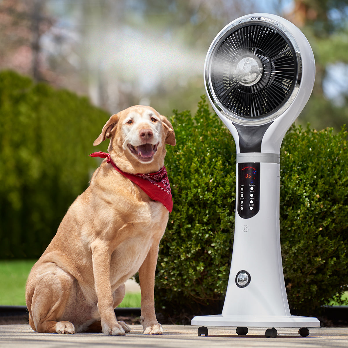 Evaporative Cooler Portable Misting Humidifier 250 sq ft with Remote 5