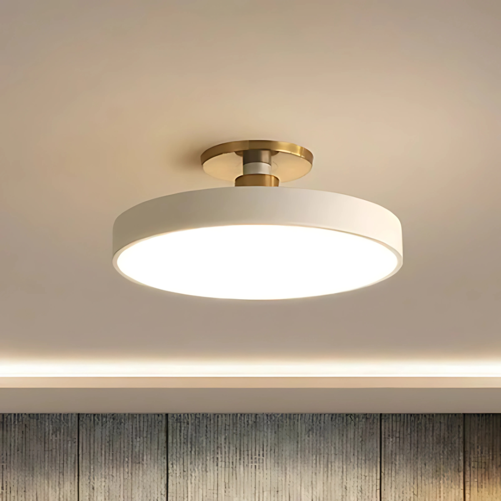 LED Flush Mount Ceiling Light Modern Acrylic Round Fixture