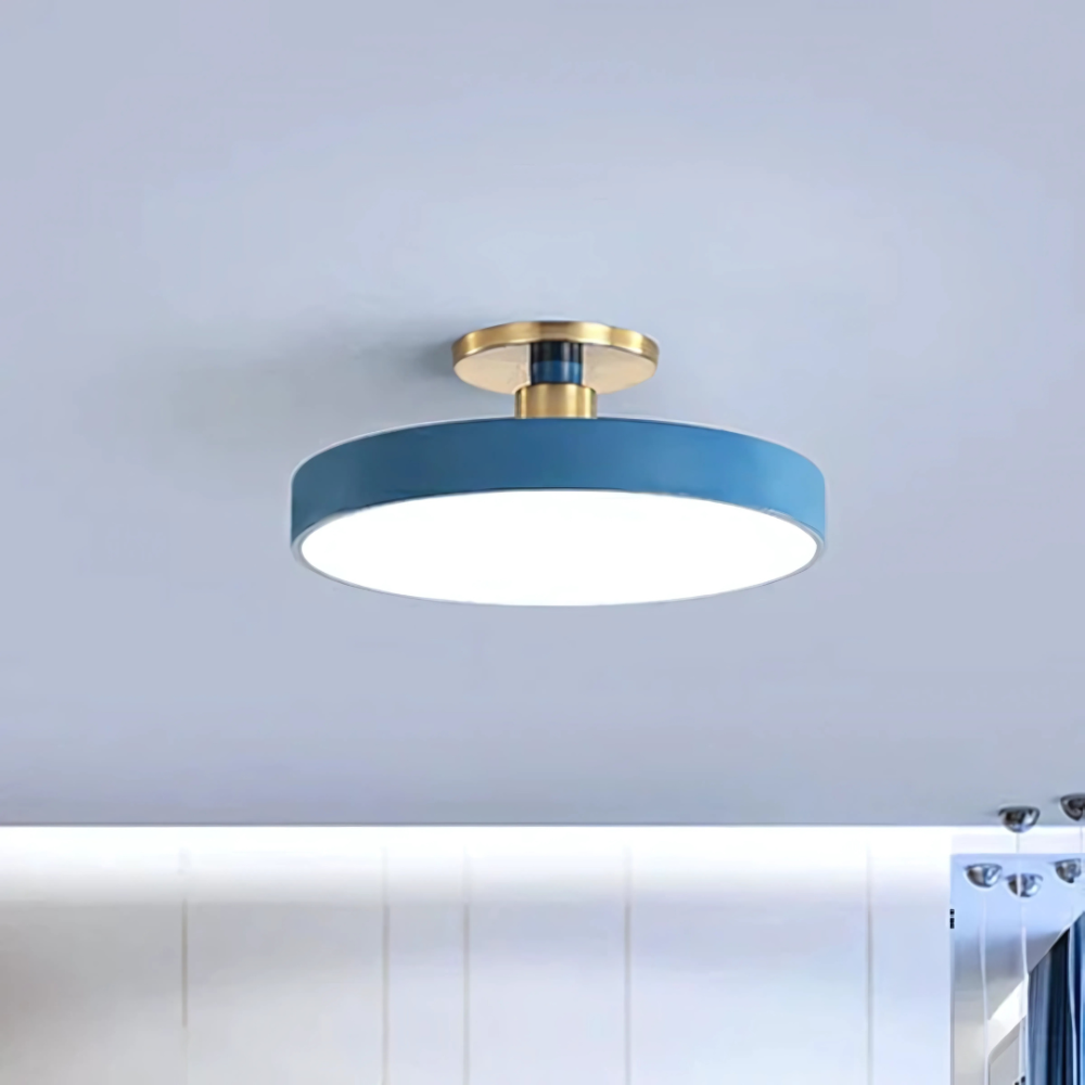 LED Flush Mount Ceiling Light Modern Acrylic Round Fixture
