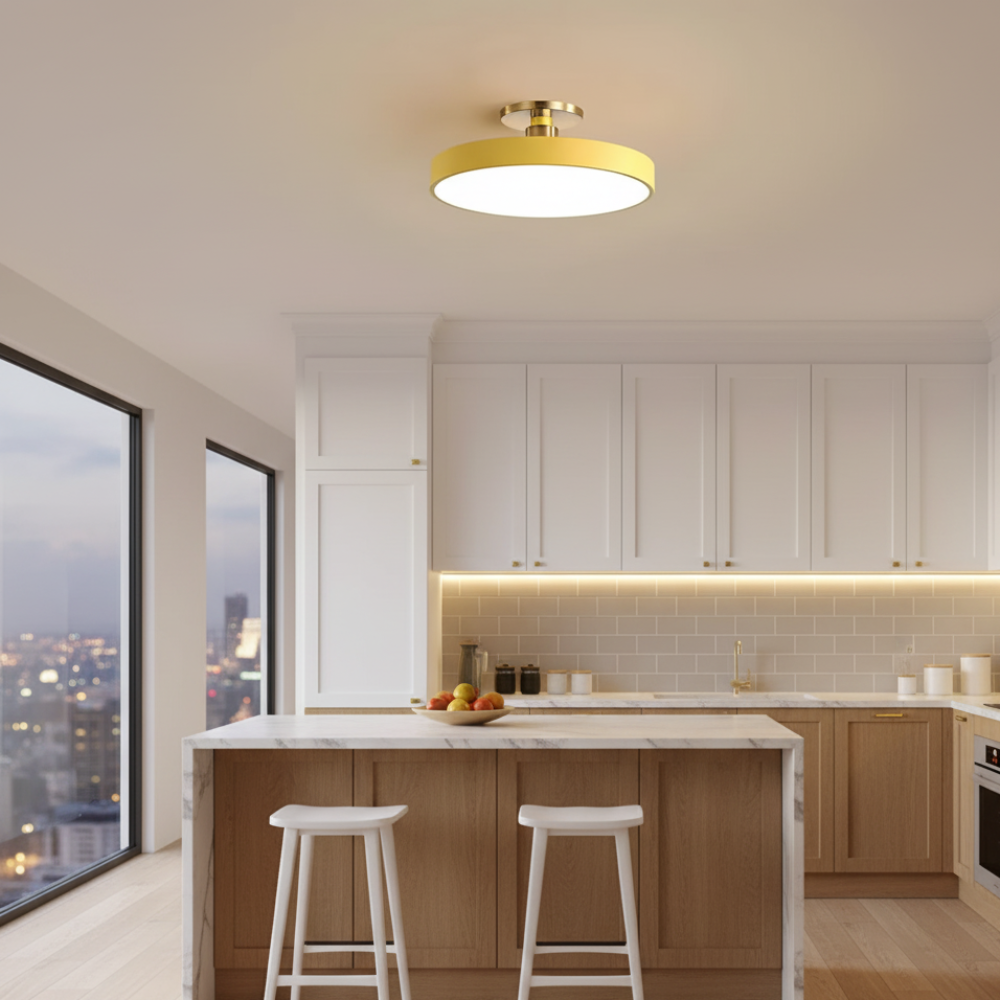 LED Flush Mount Ceiling Light Modern Acrylic Round Fixture