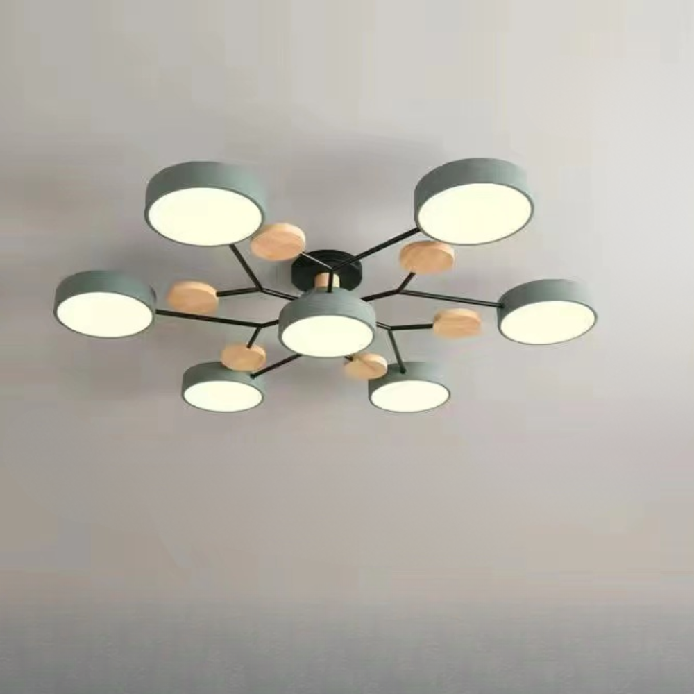 Modern LED Ceiling Light Flush Mount Fixture for Elegant Illumination 2