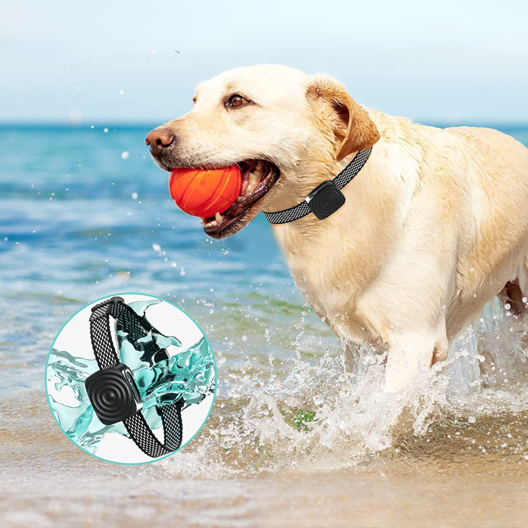 Dog Training Collar Waterproof Adjustable Gentle Sound Vibration