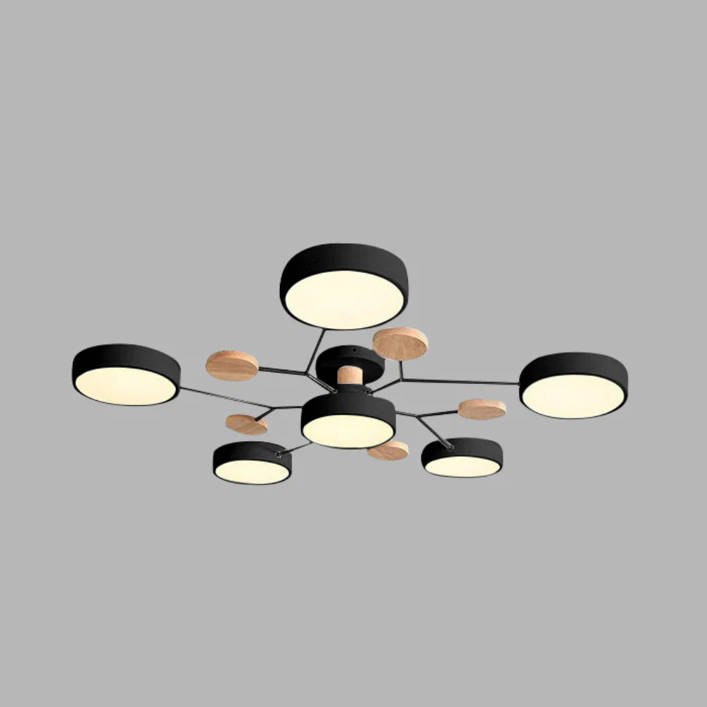 Ceiling Light Modern LED Flush Mount Chandelier