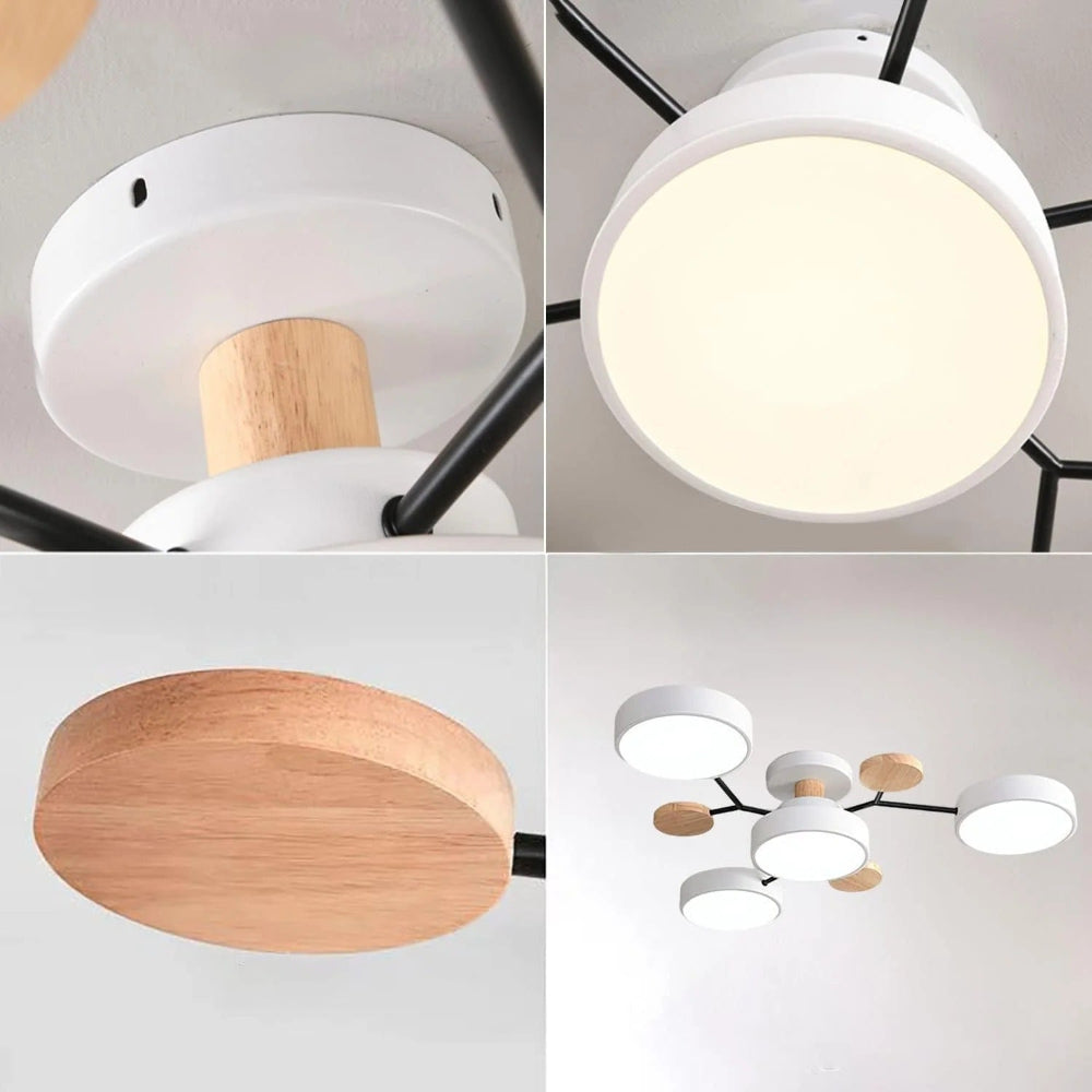 Ceiling Light Modern LED Flush Mount Chandelier