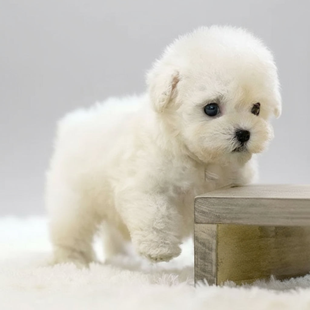 Interactive Dog Toy Robot Puppy with Realistic Movements and Sounds 6