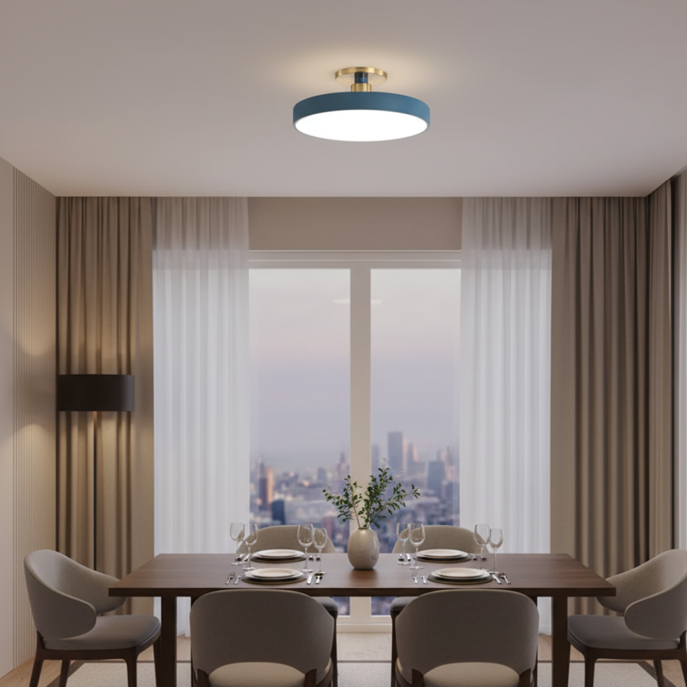 LED Flush Mount Ceiling Light Modern Acrylic Round Fixture