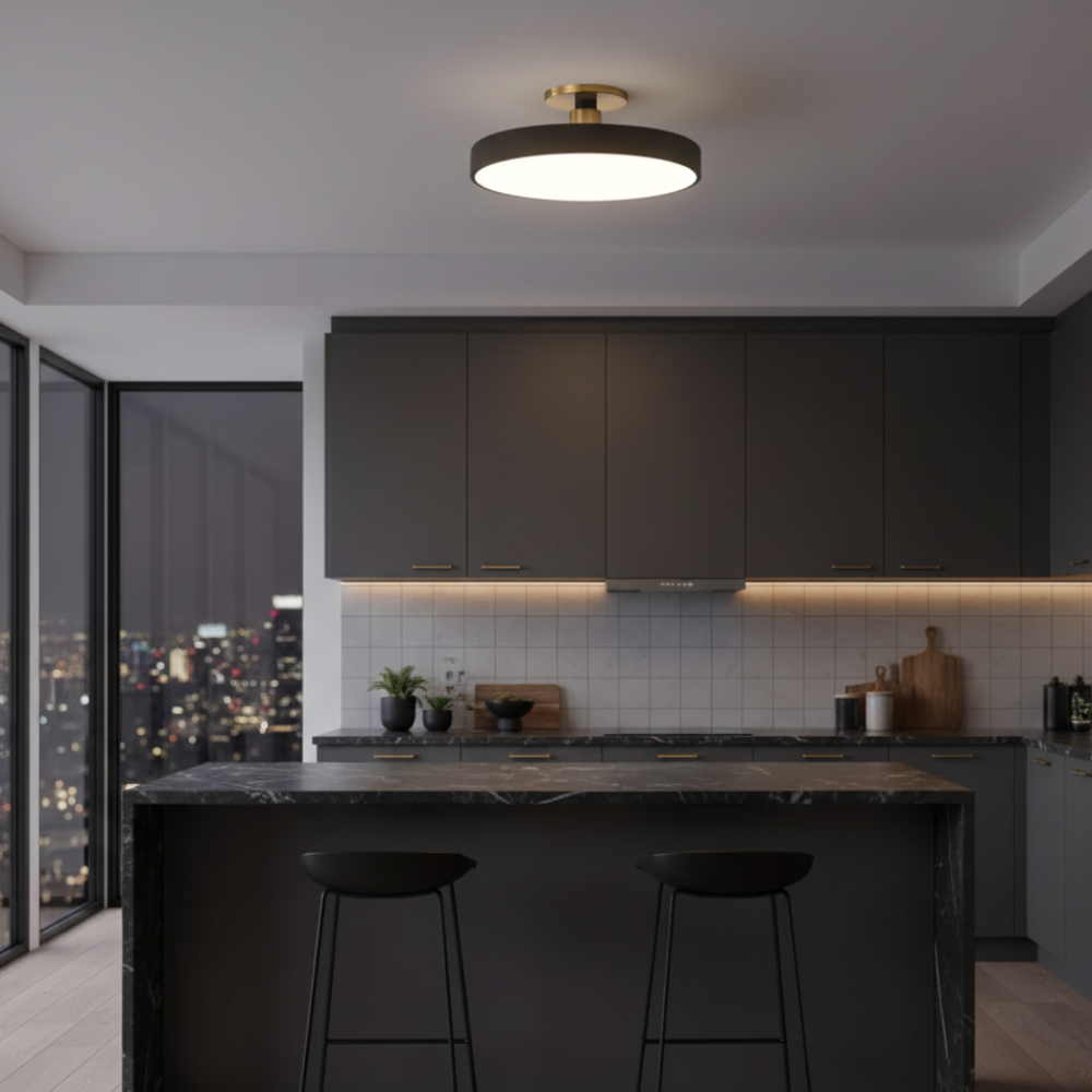 LED Flush Mount Ceiling Light Modern Acrylic Round Fixture