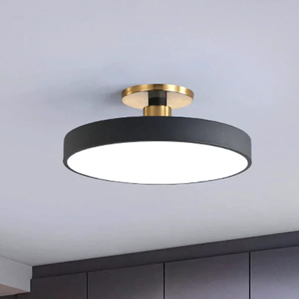 LED Flush Mount Ceiling Light Modern Acrylic Round Fixture