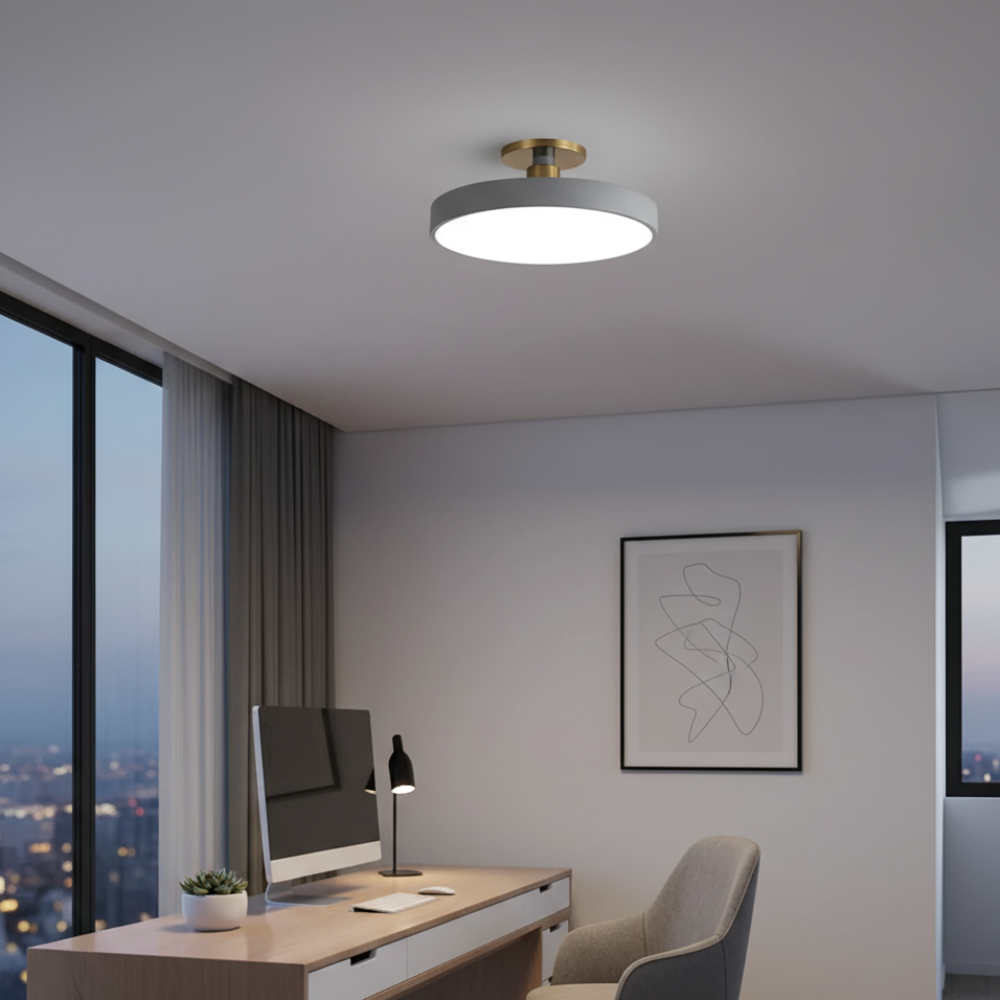 LED Flush Mount Ceiling Light Modern Acrylic Round Fixture