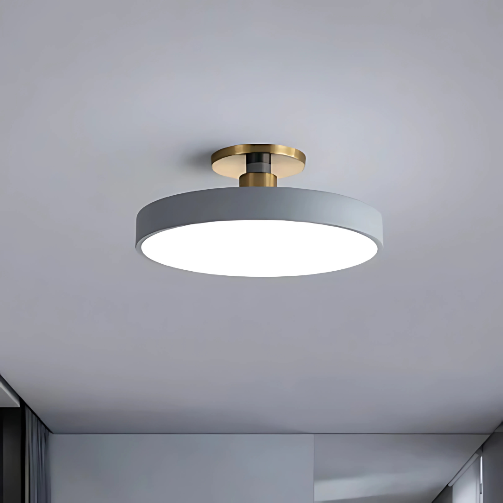 LED Flush Mount Ceiling Light Modern Acrylic Round Fixture