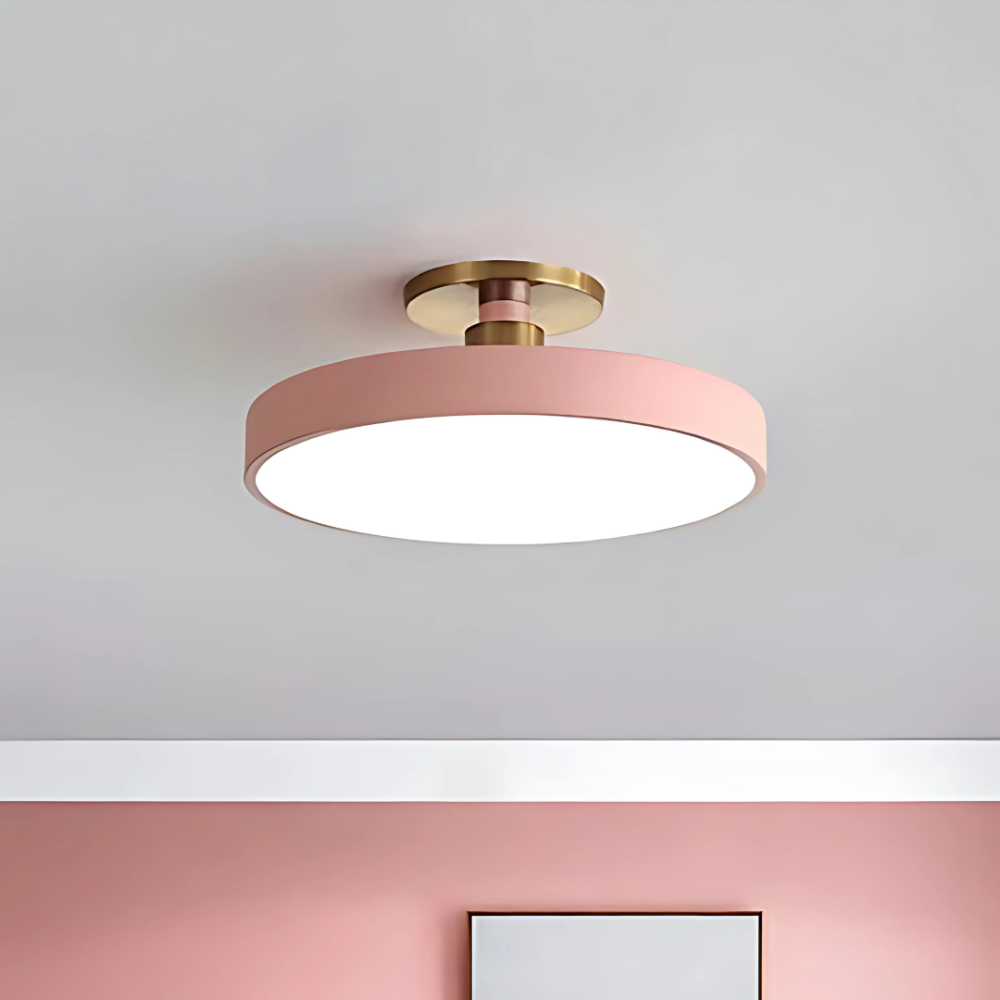 LED Flush Mount Ceiling Light Modern Acrylic Round Fixture