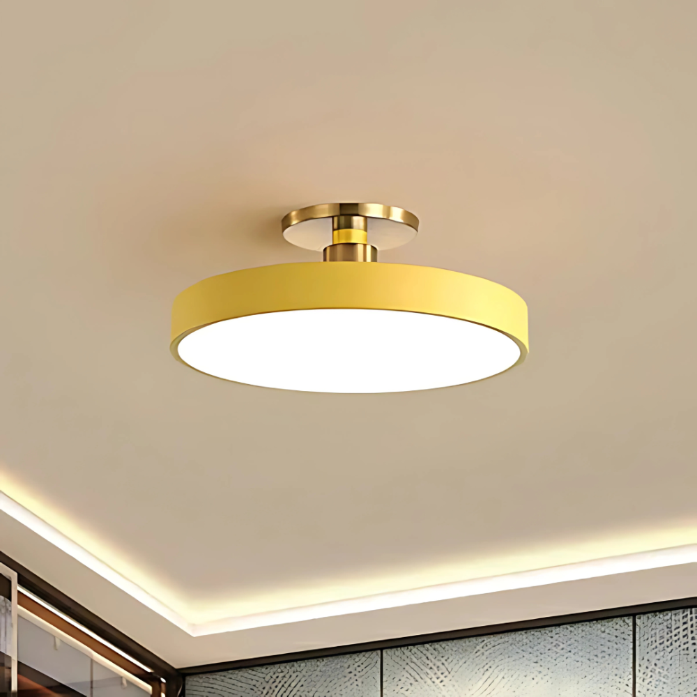 LED Flush Mount Ceiling Light Modern Acrylic Round Fixture