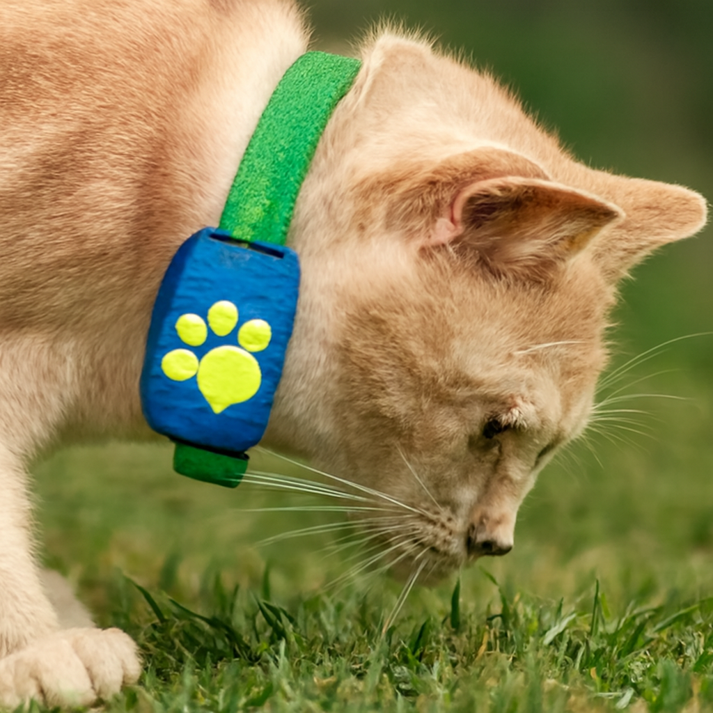 Pet Tracker Collar GPS Waterproof Durable RealTime Location