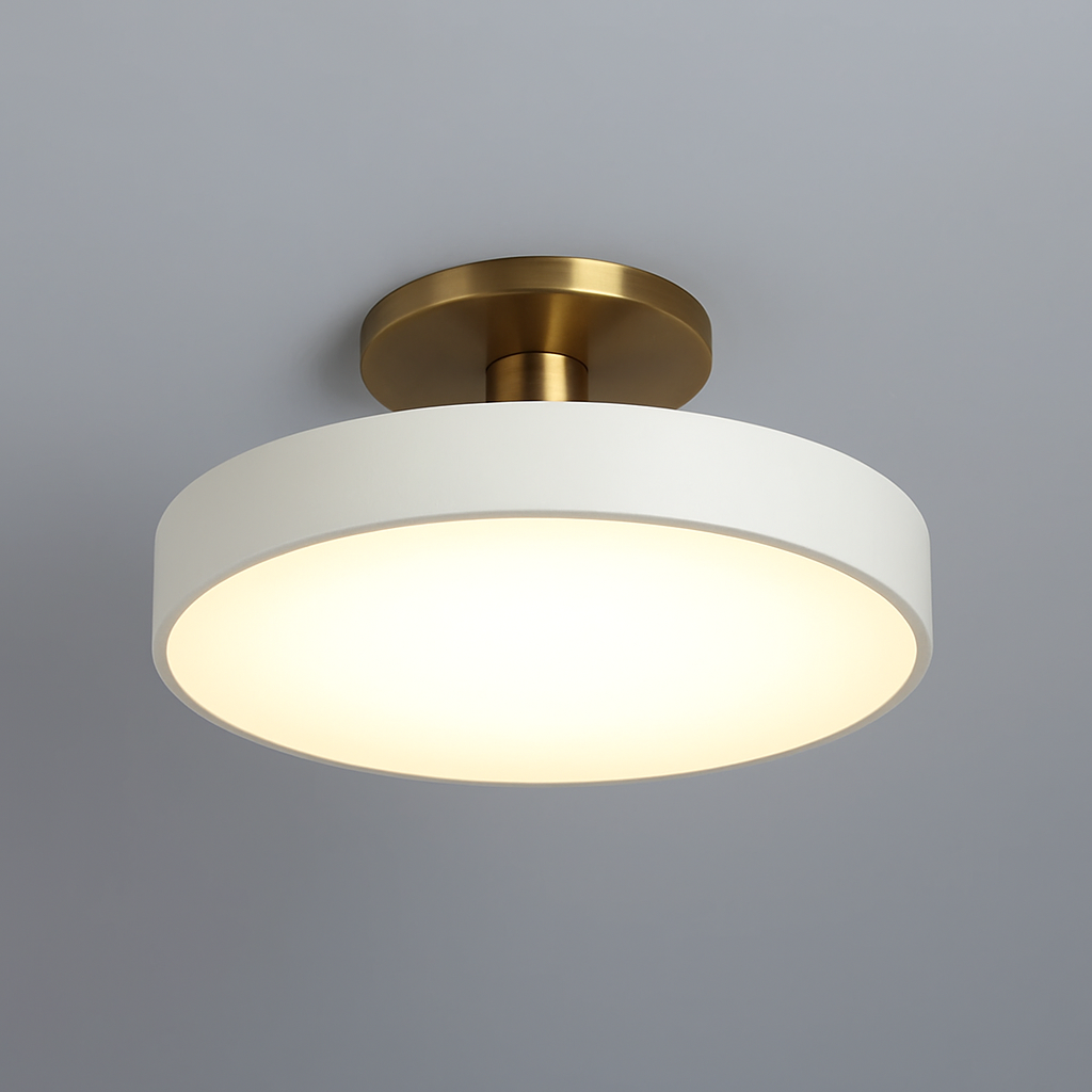 Modern LED Ceiling Light Acrylic Shade Flush Mount Fixture